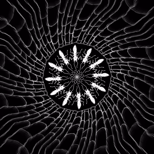 Item #747246234227518882478361479042357940631416638855718357018191736200071479297 Media