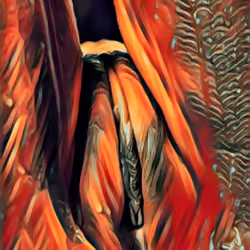 #23