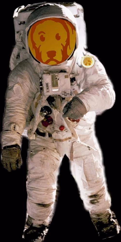 Item #110378335312233197330410508870131564689287998347478760610614496883049106505828 Media