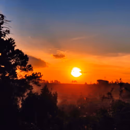 Item #76789129689388299706655966014022744743344792406865654046008114597175167549441 Media