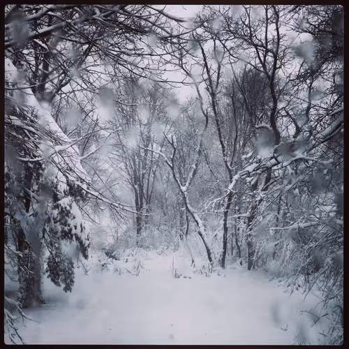 Item #5877388594710505456325712509569170131061927261962223196158836672720032235521 Media