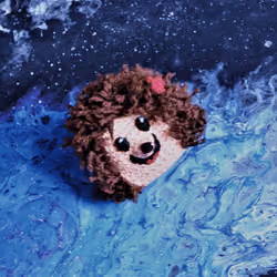#0 Spacefrog - Secret Hedgehog