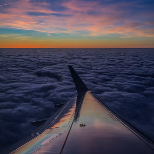 Wake Up In The Sky