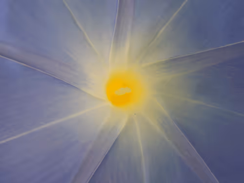 Item #53581876738018030526296833198765097323208142745183468553001527181921130381313 Media