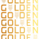 66125365745132007631346896872784811787280208094996560100428248807862913990657