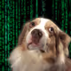 63085957130216624636248423642942812488850991077571032423490426893455033630721