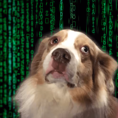 Item #63085957130216624636248423642942812488850991077571032423490426893455033630721 Media