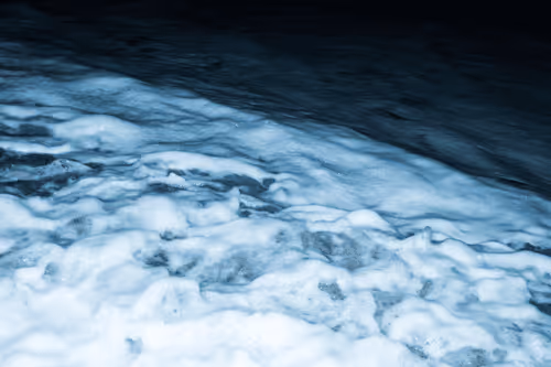 Item #65334289746679534718729475887804441956060191570096093289886828059693238190081 Media