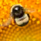 71019945690968215436275643090054054662537897902633545771912972374657063714826