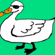 50830941639531204344107895278191662011527666637824346965857516120829090332673