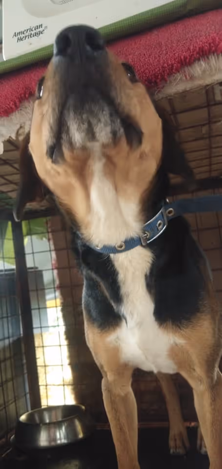 Item #23439807421783349604606688817165201350165750151979961366033252227103223447553 Media