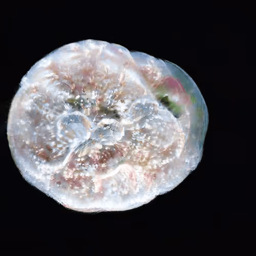 Item #4750064852715738149564930854294668621974194112560083604087540678667475615745 Media