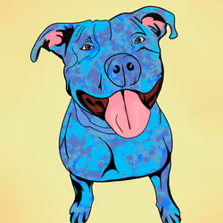 Blue Splatter Pitbull