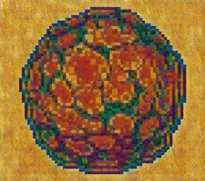 Item #74388721199083954673298778298232823886096642493620239959546428065215194071041 Media