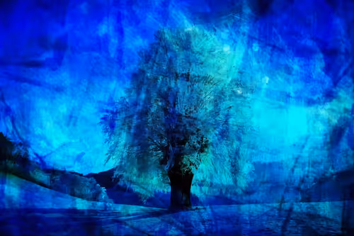 Item #94806680000301901634596530810000111500308784496833093522133532349392457043205 Media