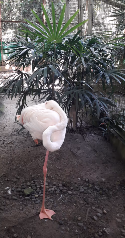 Item #38125591017817632064075255466236726270768281908767688394852615378642774523905 Media