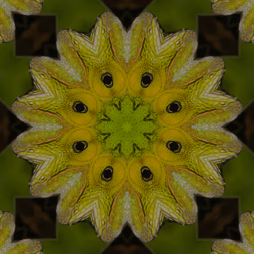 Item #56574662259603682151245989215512264543106181545014608248201408240603986132993 Media