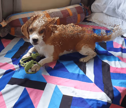 Item #62345621683661683193713543406616418673876020109873424311626099110270874943489 Media