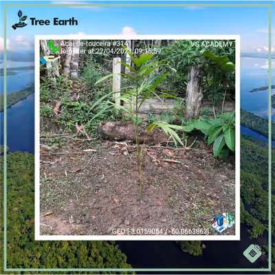 Item #8500196597889277390194123329501889087166328879864934763448349327292639477761 Media