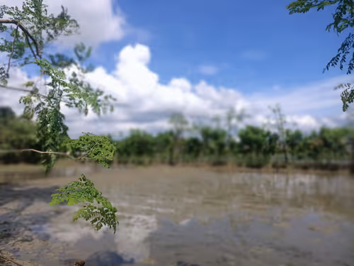 Untitled Collection #80492262