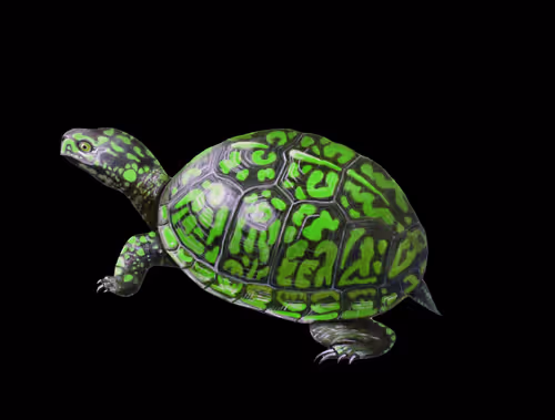 Item #46623402417646879308353596173636630178895824236728347706261571641345455423489 Media