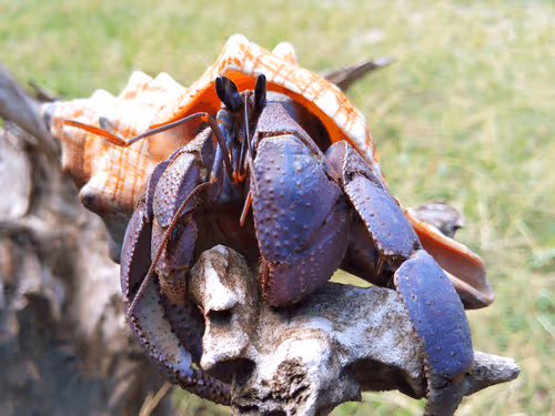 91920838516500969586140493576070920060778375503638515337937380308528316547073