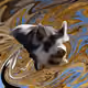 53180631642456764738139299674940583640479914081960747744151191779481936199681