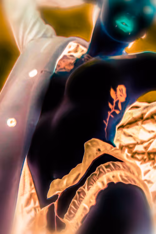 Item #74124234001314812983711764117693402131763852955807667992430597506536969338881 Media