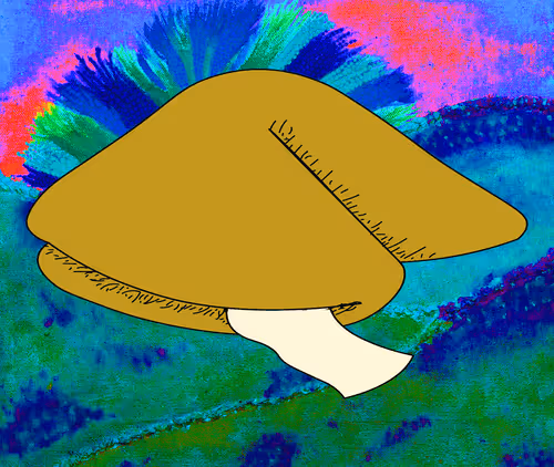 Item #56177743258238353915692039261457950691196406802314425732675602487119051751433 Media