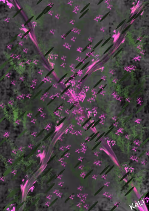 Item #100372621489299438081740613612083099513653390446833448768784776975953405411335 Media