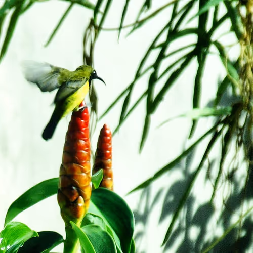 Item #94394910353456792511770389683380397167058265892134190948053464635068259500033 Media