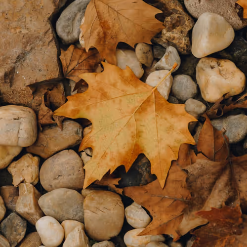 Untitled Collection #2613348841