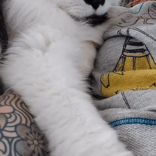 Item #13161020314009032005485822086301964352885579695205061807387255181677699268609 Media