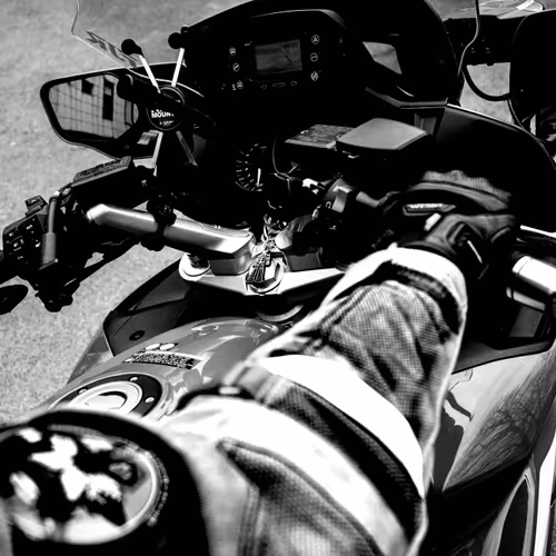 Item #73754067670666287486777451025371723803701293216623981117739972845390702575617 Media