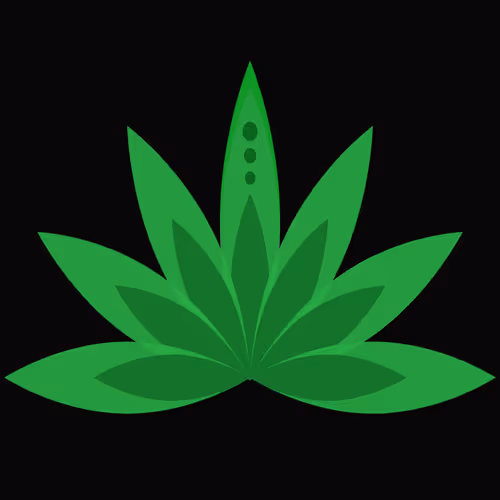 Item #92389717343108138364790182285632062873080794792583706502589478649713871814696 Media