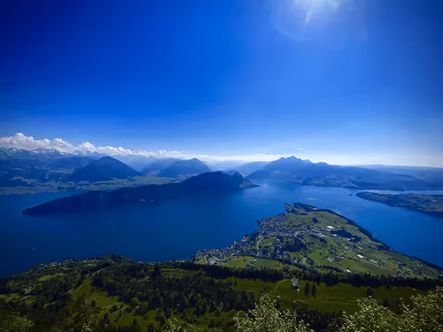 Item #85194694313482311992552065383091349733229460472009518407910609739843012395009 Media