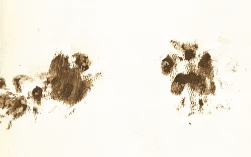 Item #94376759896302123799325223157901749771994620698269210834977082549436988522497 Media