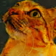 20636339082616057628411461047359145718588907378005939801368308009229814333441