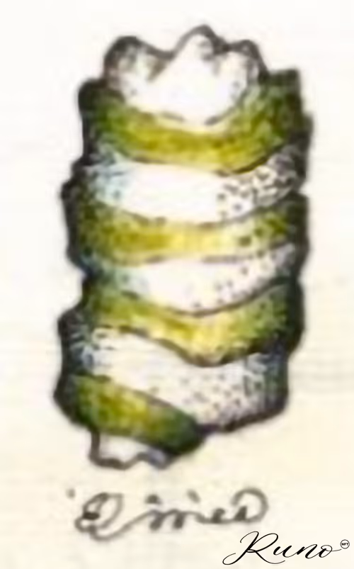 Item #82027568132874209204905566475371830288322008056794566303556806033997425541125 Media