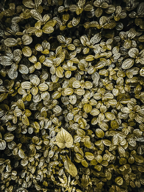 Item #89891320427083052036252289933232728750356970161577239376608436022455673290753 Media