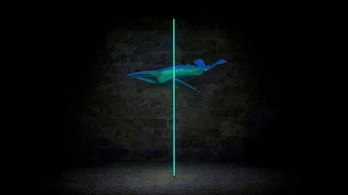 Item #38502620602864801700852884618275371385083444813908552986531940942126954578920 Media