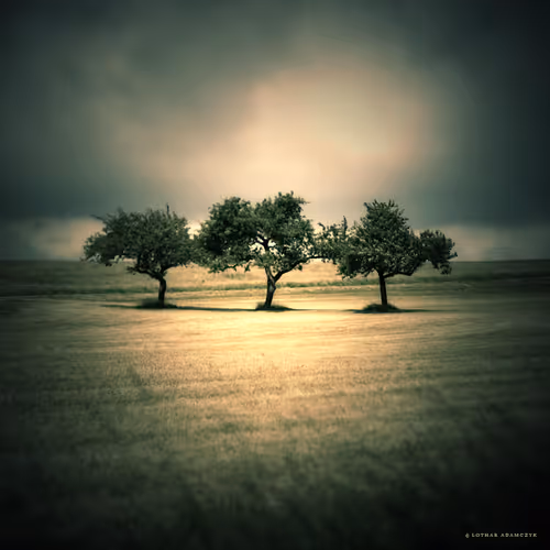 Item #113065873903366828743744079288708835697083018334279533284549130142673767759873 Media