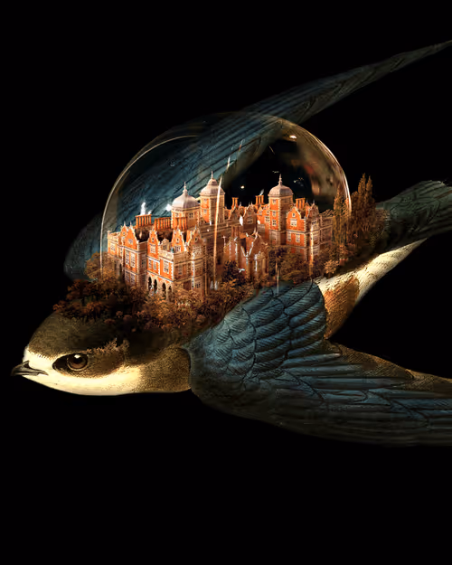 Item #61916521652635380747587837437641190106942101719760640466898869970985774219265 Media