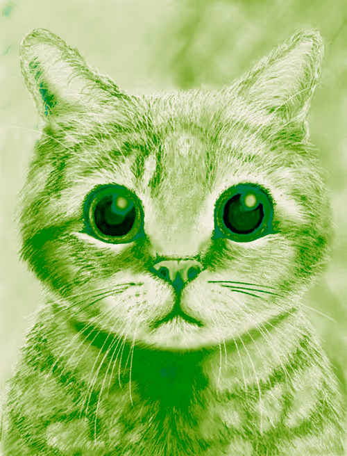 Item #56621992303262747893271366005093707345711101762340673219461019499259922219009 Media