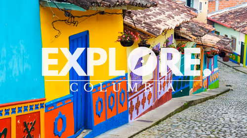 Item #55167293475857333829963200193227146355535503943447662520927477444479522177025 Media