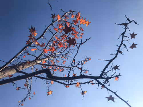 Winterleave DAO