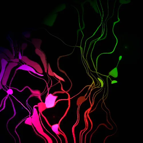 Item #102017662668176822575405277767485904617561700143347670830040801773956974510081 Media