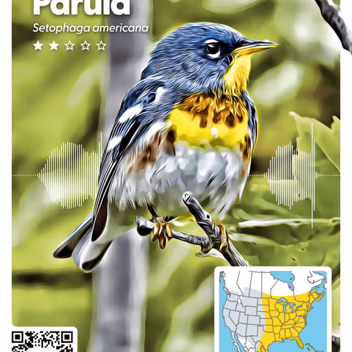 26102390610025884852824728088708208703251930988161684574571712858285278232601