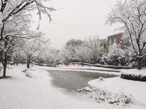 The first snow 2022