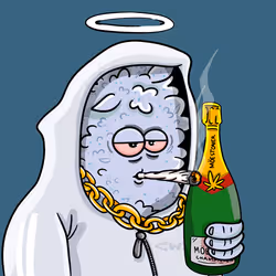 10781972816029327364120052059159000007855813889773667238981933164749754728449